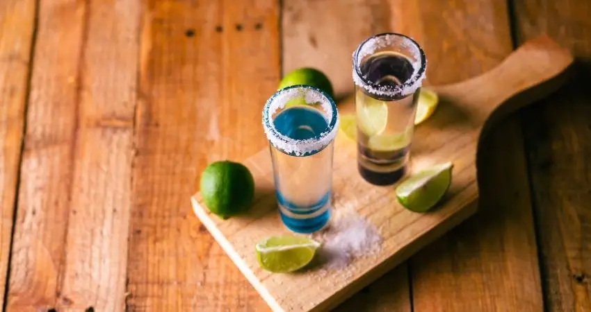 Tequila y Mezcal con certificación oficial de Denominación de Origen