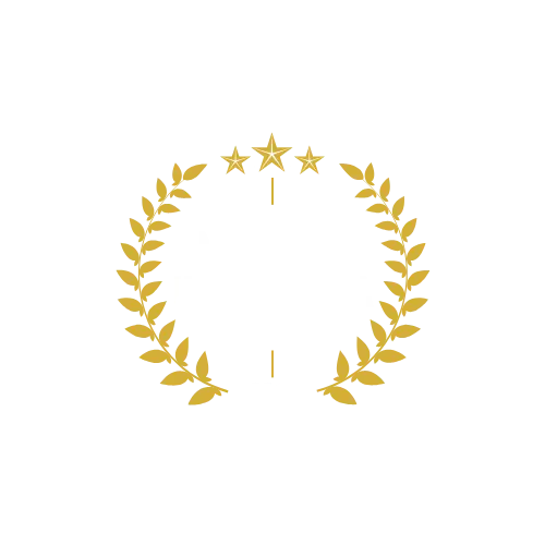 Mención Honorífica UNAM, graduated with honors from the Faculty of Law